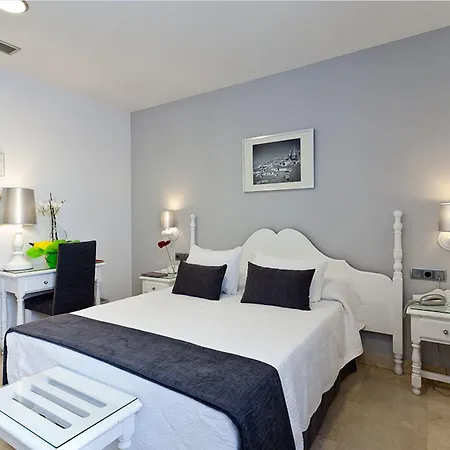 Hotel Carlos V 3*